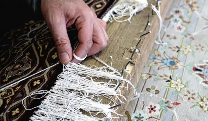 ریشه زنی